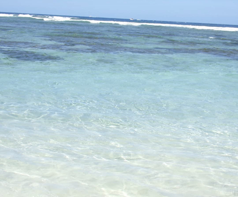 Escanorrr__ @escanorrr__ cover picture