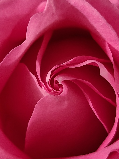 Essie X Doll @essiexdoll cover picture