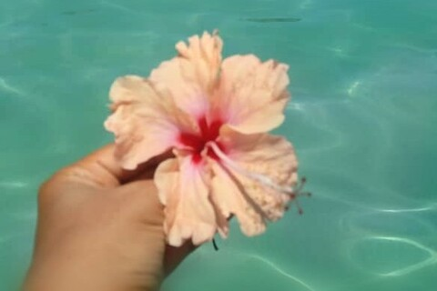 Estefanía Sánchez @estefaniasanchez cover picture