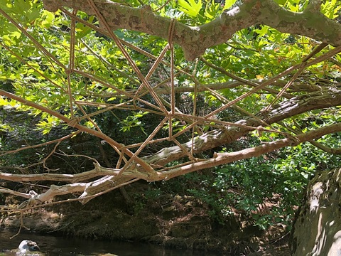 euphoriakkurt1 @euphoria22222 cover picture