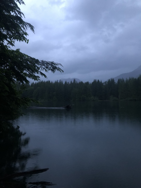 Evelyn @evelyn19 cover picture