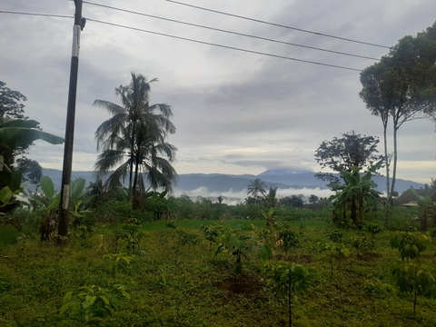 ExoticVibe @exoticvibe cover picture