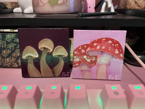 FaelynArt @faelynart cover picture