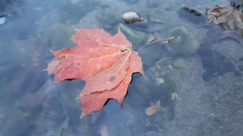 Fatalinjury @fatalinjury cover picture