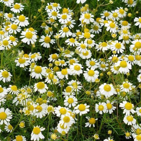 Fav @favio12 cover picture