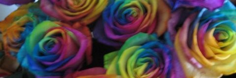 alexandra @fedra cover picture