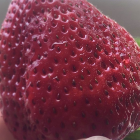 feet babe @feet-babe cover picture