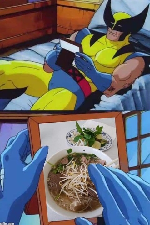 Felix @felixhelix cover picture