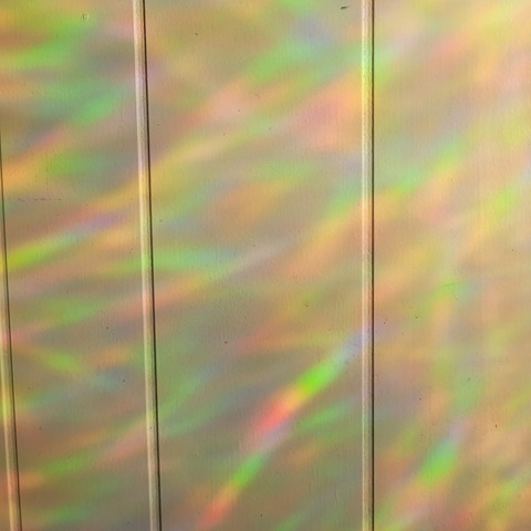 Moon @feral_moon cover picture