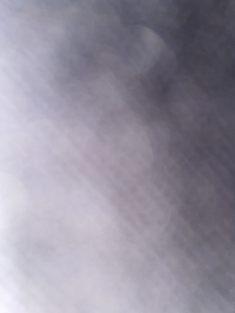 Fi Fi @fifixo cover picture