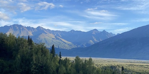 Sarah J. @fireweedfrenzy cover picture