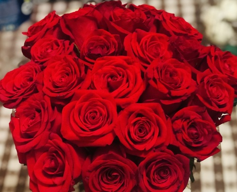 Analu Flop @flopanalu cover picture