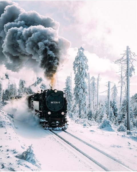 dips @floriano cover picture