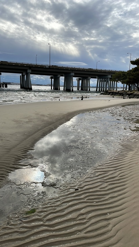 Golden Hammer 🔨 @fluff_daddy.1 cover picture