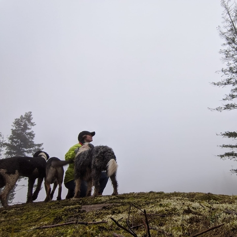 Goat cupcakes. @forestnymph cover picture