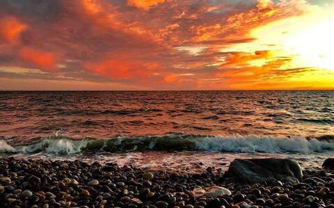 For the love of nudes 🧡💦 @fortheloveofnudes cover picture