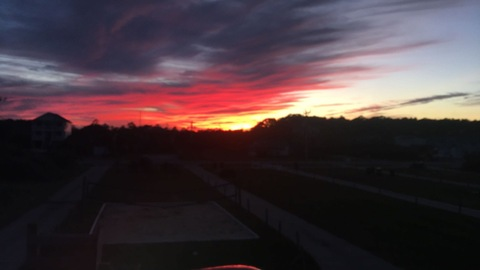 Fortune_Cookiee @fortune_cookiee cover picture