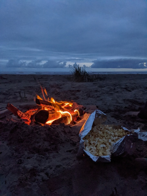 Foxlove62 @foxlove62 cover picture