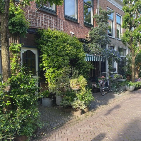 F @freakyyfaith cover picture