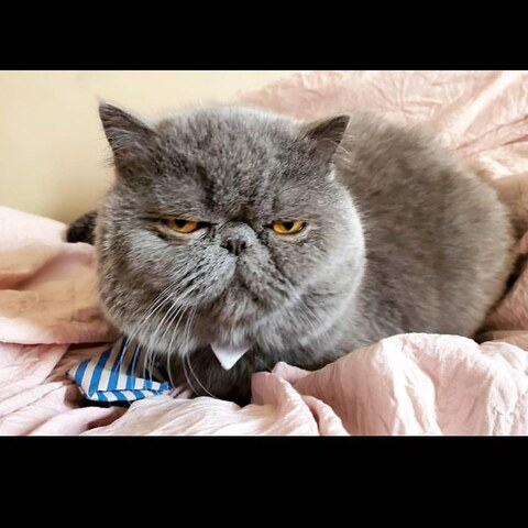 fred rx @fredrx cover picture