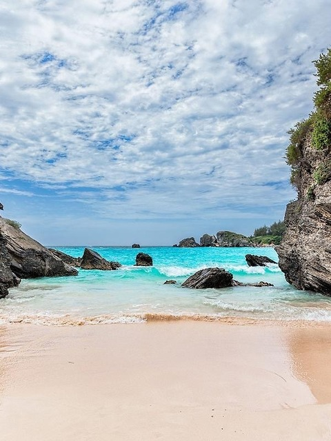 Katherine Rose @freedomkitty1776 cover picture