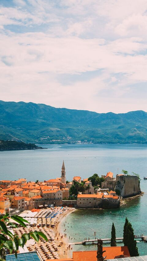 u8255517 @frenzy cover picture