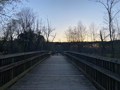 Frida @friidaaa cover picture