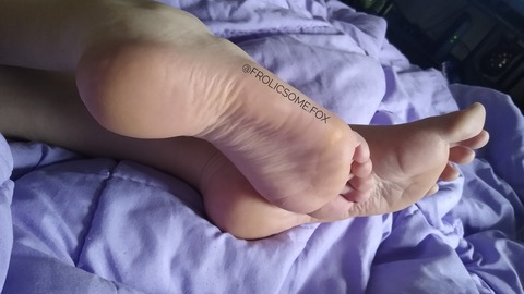 FrolicsomeFox @frolicsomefox cover picture