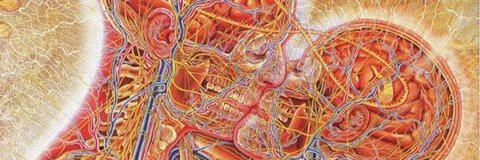 😶‍🌫️ @fuentesbabby cover picture