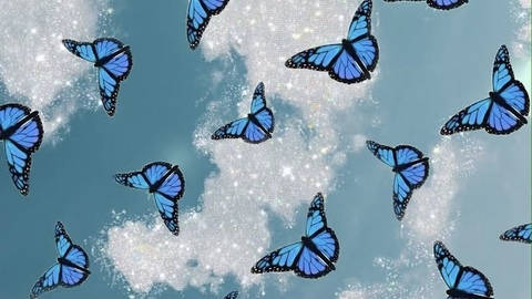 G 🦋 @g_butterfly cover picture