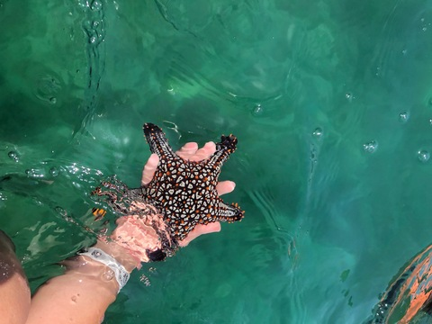 gapaloga @gapaloga cover picture