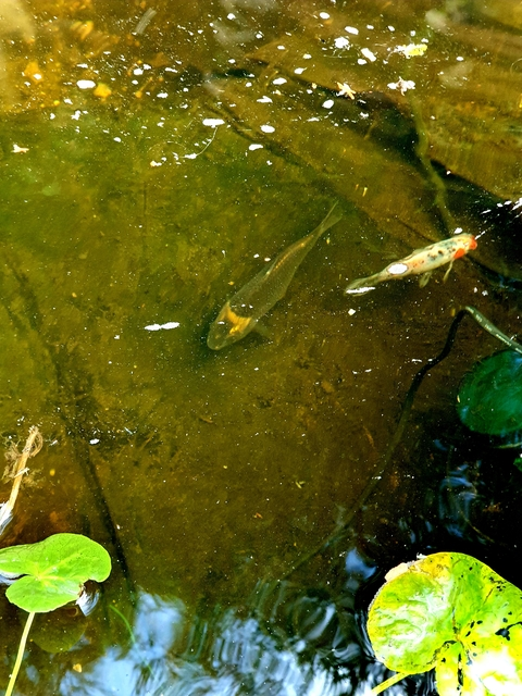 Gary @gazza4699 cover picture