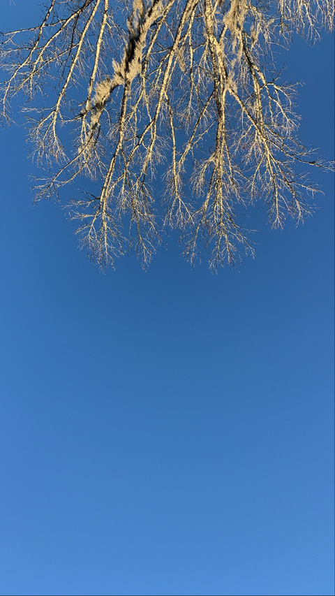 g @gcpxo cover picture