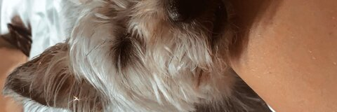 Georgia♋️ @geebaaaker cover picture