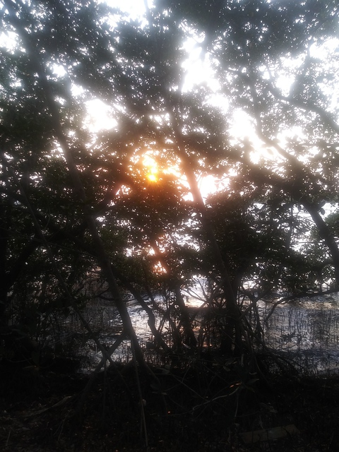 Savannah Louise @georgiapeach939 cover picture