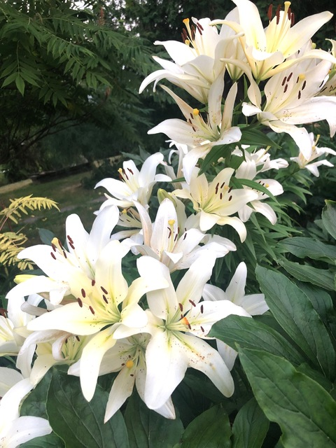 Getmene @getmene cover picture