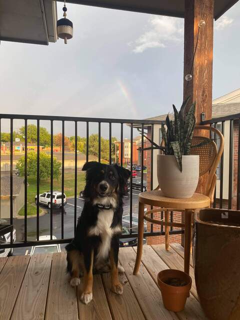 Ghost @ghostreject cover picture