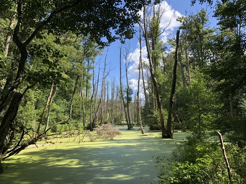 Gimli @gimli cover picture