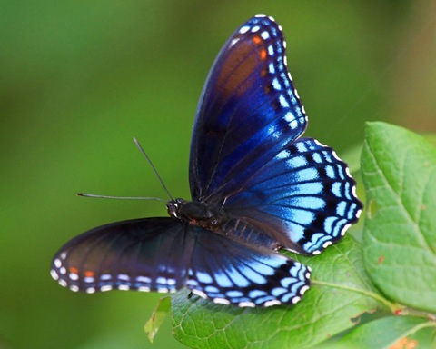 Regina @gina_ cover picture