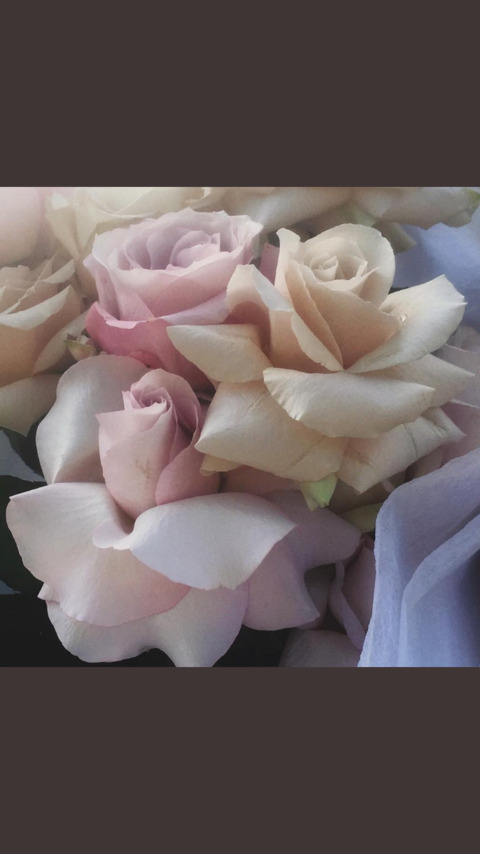 winebunny @ginbunny cover picture