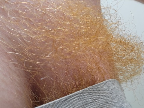 Ginger🔥Guy @ginger-guy cover picture