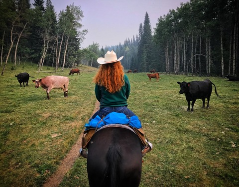 Ginger @gingerbebe cover picture