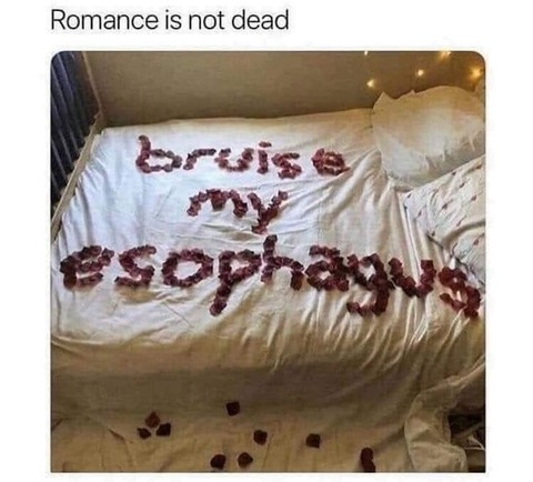 Ginger Snap @gingersnap1992 cover picture