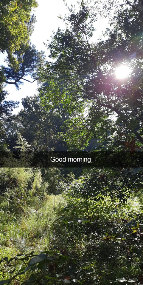 Ginger @gingiebread cover picture