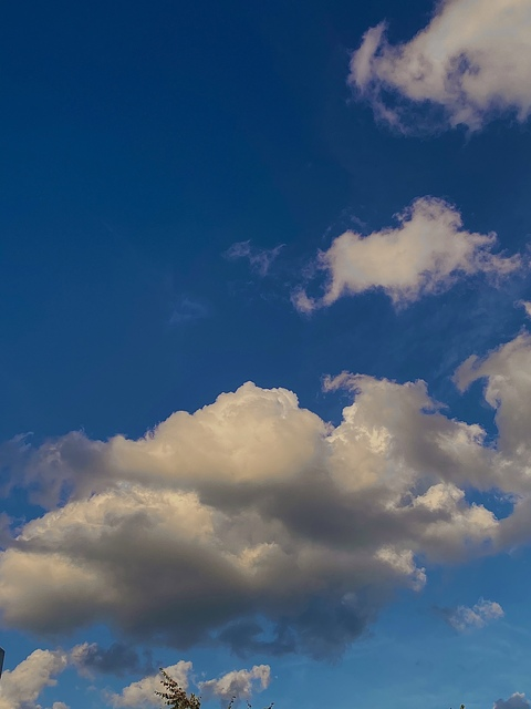 G :) @glitterdollll cover picture