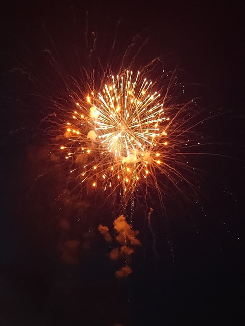 Rose @glxyrs cover picture