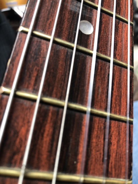 Max @gnuj279 cover picture