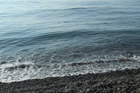 Pelagy'n'Daniel @goldteachers cover picture