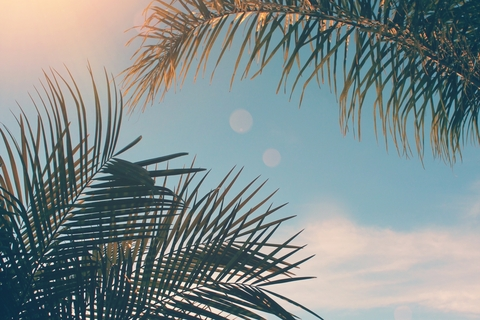 Alexa @good.gurl cover picture