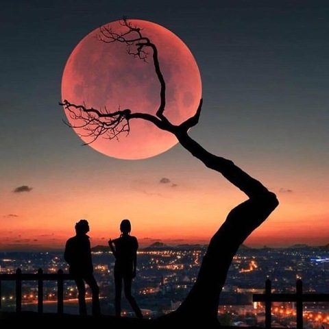 Lu @gouki03 cover picture